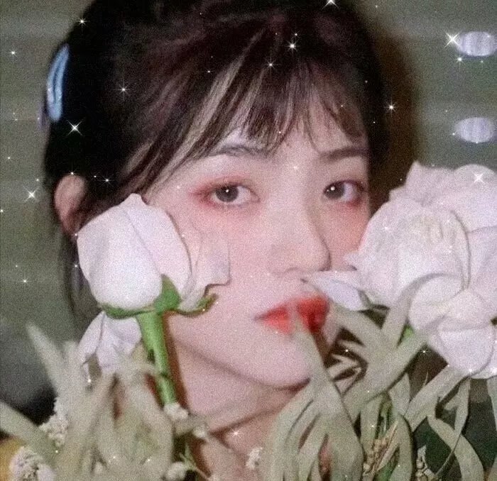 犯罪家谱